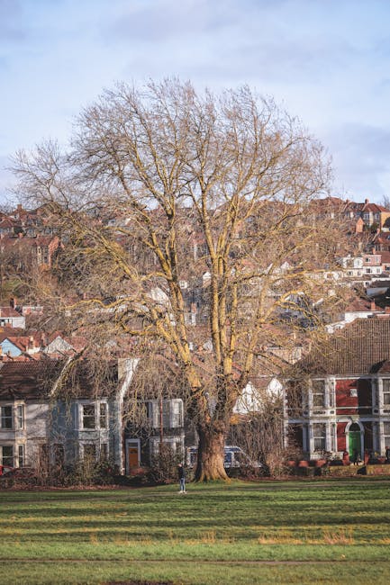 A large, leafless deciduous tree with multiple branches extending outward and upward, situated on a grassy area in front of a row of residential houses. The tree's trunk is thick and textured, with some moss or lichen visible. Behind the tree, there are several houses with brick facades, windows, and pitched roofs, set against a hillside with more buildings in the background. The scene is captured during daylight with partly cloudy skies, highlighting the natural environment typical of a suburban area in London. The image is associated with house removals and relocation services offered by Kennington Removals, illustrating the typical UK urban landscape where home relocation and furniture transport may take place.