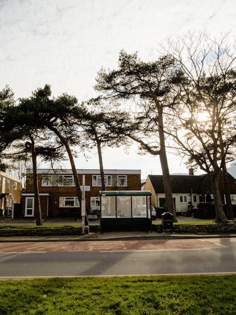 A view of a residential street showing a bus shelter with transparent glass panels and a metal frame situated on the sidewalk. Behind the shelter, there are several trees with sparse branches and dark green foliage, some of which are leaning slightly. In the background, there are modern two-story houses with brick and cream-colored facades, flat and pitched roofs, and large windows. The street is paved with asphalt and features a curb with a grassy verge. The sunlight filters through the branches of the trees, creating a bright atmosphere, and the scene appears to be during late afternoon or early evening. The image is associated with house removals and relocation services, emphasizing the environment where items may be packed, loaded, or transported in a professional moving process, such as by Kennington Removals during home relocation operations.